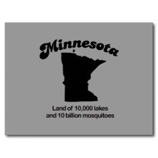 Minnesota Motto   Land of 10,000 lakes Postcard