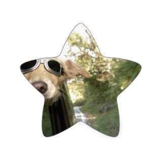 DOG FUNNY STAR STICKER