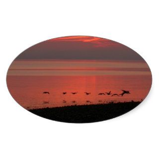 Orange Sunset with Canada Geese Sticker