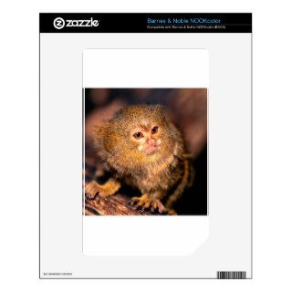 Monkey Tempting Pygmy Marmoset Skins For NOOK Color