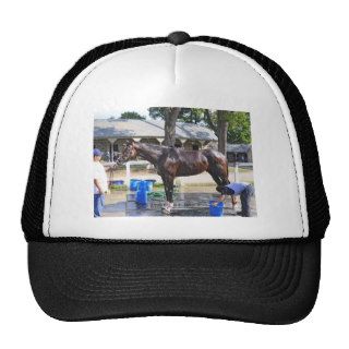 Empire Stakes Winner "Saratoga Snacks" Hat