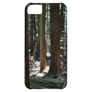 IPhone 5 In the Woods Custom Case Cover For iPhone 5C