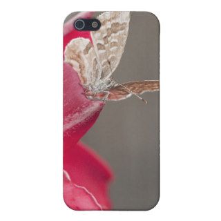 Brown butterfly on a pink flower petal case for iPhone 5