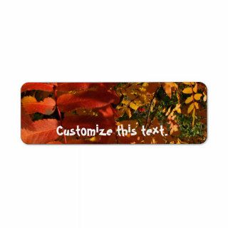 Mountain Ash in the Fall Return Address Labels