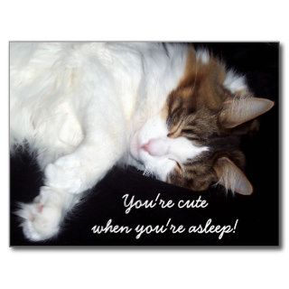 Sleepy kitty postcard