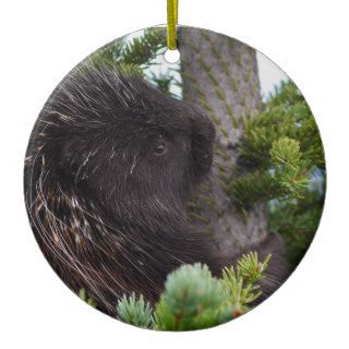 porcupine hugging tree ornament