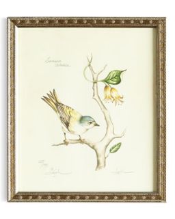 Tennessee Warbler Print