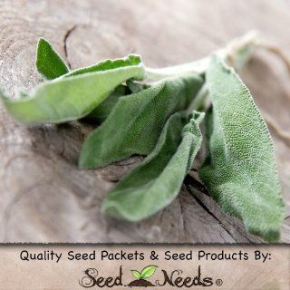 100 Seeds, Sage Herb "Broad Leaved" (Salvia officinalis) Seeds by Seed Needs)  Herb Plants  Patio, Lawn & Garden