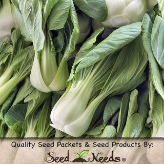 150 Seeds, Cabbage "Pak Choi White Stem" (Brassica oleracea) Seeds By Seed Needs  Vegetable Plants  Patio, Lawn & Garden