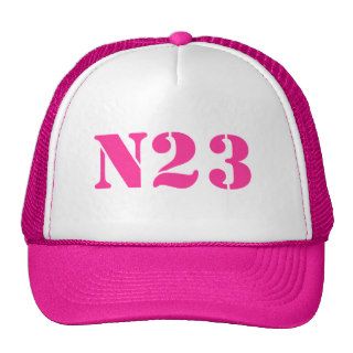 N23 Pink Hat