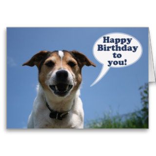 Jack Russell dog Happy Birthday card