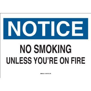 Brady 38065 Plastic Funny Sign, 7" X 10", Legend "No Smoking Unless You're On Fire" Industrial Warning Signs