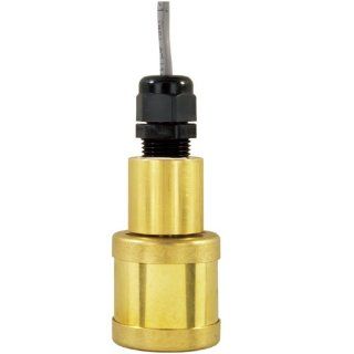 Gems Sensors 149350 Buna N Float Weighted Single Point Level Switch, 1" Diameter, 3/4" Actuation Level, 20VA, SPST/Normally Close, Dry Industrial Flow Switches