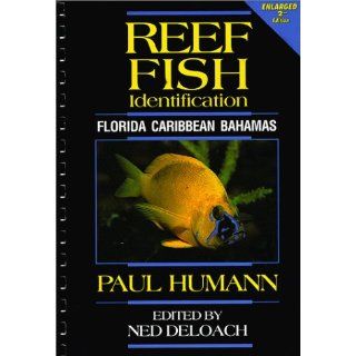 Reef Fish Identification Florida, Caribbean, Bahamas Paul Humann, Ned Deloach 9781878348074 Books