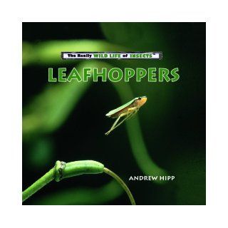 Leafhoppers (Really Wild Life of Insects) Andrew Hipp 9780823962419  Kids' Books