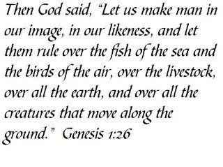 Then God said, "Let us make man in our image, in our likeness, and let them rule over the fish of the sea and the birds of the air, over the livestock, over all the earth, and over all the creatures that move along the ground." Genesis 126   Wal