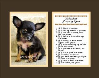 Chihuahua Property Laws Wall Decor Pet Dog Saying Gift   Decorative Plaques