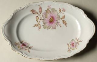 Mitterteich Dogwood 12 Oval Serving Platter, Fine China Dinnerware   Pink Flowe