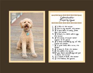 Labradoodle Property Laws Wall Decor Humorous Pet Dog Saying Gift   Decorative Plaques