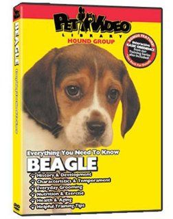 BEAGLE DVD Everything You Should Know + Dog & Puppy Training Bonus Pet Video Library Movies & TV