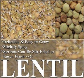 ORGANIC Lentil seeds ~ SLIGHTLY SPICY   RED UNHULLED Seed   Delicious & Easy To Grow   SPROUTS CAN BE STIR FRIED OR EATEN FRESH (00900 Seeds   1 oz)  Home And Garden Products  Patio, Lawn & Garden