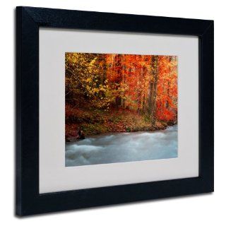 Trademark Fine Art Sometimes Matted Artwork by Philippe Sainte Laudy with Black Frame, 11 by 14 Inch  