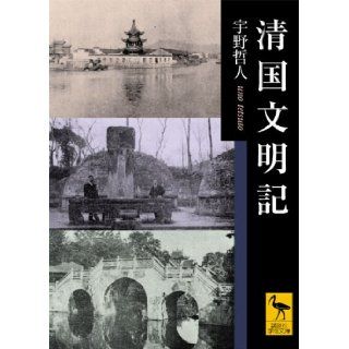 Qing statement specified (Academic Paperback) (2006) ISBN 4061597612 [Japanese Import] 9784061597617 Books
