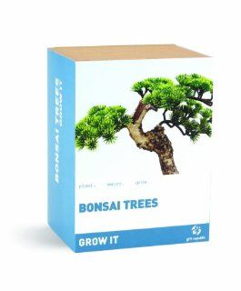 Gift Republic Grow It Geschenkset Bonsai Pflanzset Garten
