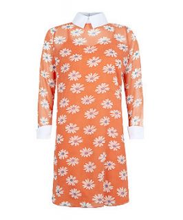 Orange Contrast Collar Daisy Print Shift Dress