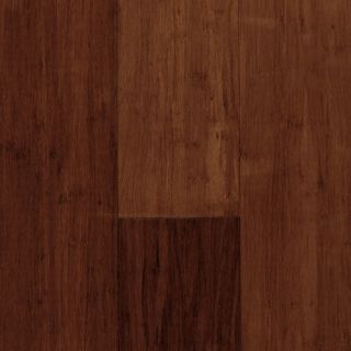 Expressions 5 1/4 Solid Bamboo Hardwood Flooring in Acorn