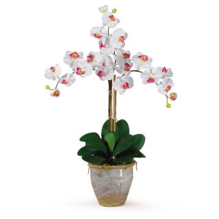 Nearly Natural Triple Phalaenopsis Silk Orchid Arrangement in White