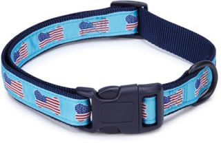 Casual Canine All American Pup Collar   Blue