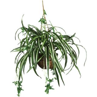 Nearly Natural Silk Spider Hanging Plant in Basket