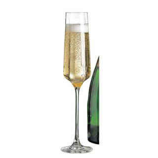 Wine Enthusiast Companies Fusion Infinity Champagne Flute