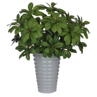 House of Silk Flowers Artificial Mini English Ivy Desk Top Plant in