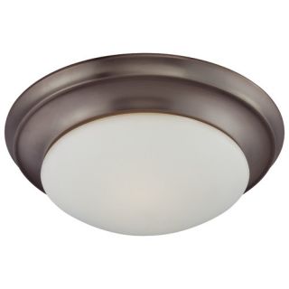 Ceiling Essentials 2 Light Flush Mount