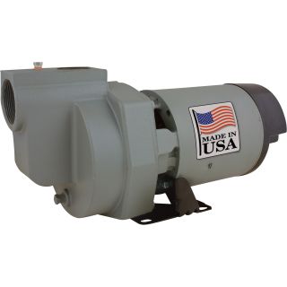 Star Water Systems Self-Priming Cast Iron Lawn Sprinkler Water Pump — 4500 GPH, 2 HP, 2in. Port, Model# HSP20P1  Booster   Sprinkler Pumps