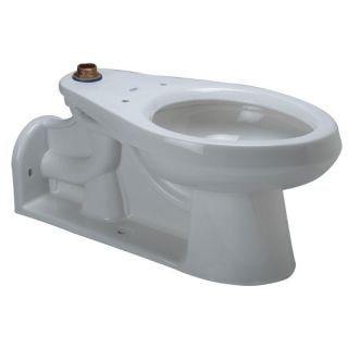 Zurn Floor Mounted 1.6 GPF Elongated Toilet Bowl Only with Back Outlet