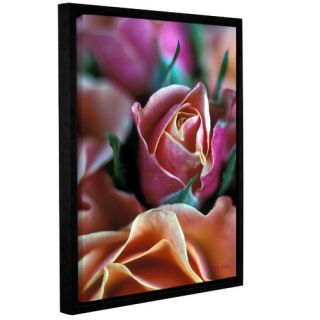 Mauve And Peach Roses by Kathy Yates Floater Framed Photographic Print