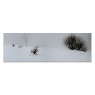 Artist Lane White Out by Andrew Brown Wrapped Photographic Print on