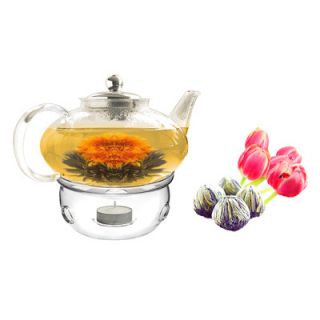 Tea Beyond Harmony 1.56 qt. Fab Flowering Tea Set