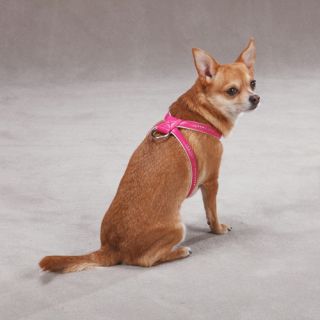 East Side Collection Sparkle Gemstone Harness