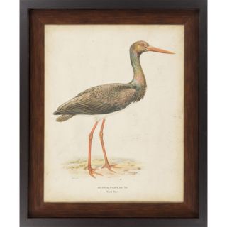 Embellished Vintage Heron I by Vision Studio Framed Graphic Art by