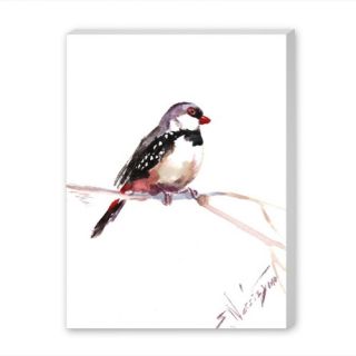 Diamond Firetail Painting Print on Wrapped Canvas