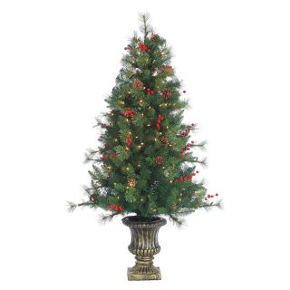 4.5 ft. Potted Alberta Spruce Pre Lit Full Christmas Tree by Sterling Tree Company   Christmas Trees