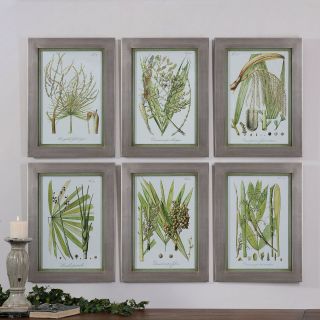 Uttermost Palm Seeds Framed Prints   Set of 6   16W x 22H in.ea.