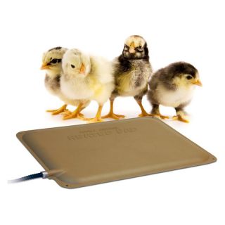 K&H Pet Products Thermo Peep Heated Pad   12L x 9W in.   25 watts   Chicken Coop Accessories