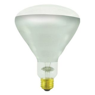 Bulbrite 250W Incandescent Heat Lamp Light Bulb   10 pk.   Light Bulbs