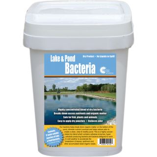 Outdoor Water Solutions Water-Clearing Bacteria — 24 Pack, 8oz. Pouches, Model# PSP0074  Pond Cleaners