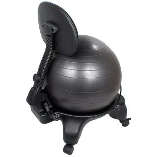 Adjustable Back Exercise Ball Chair wIth Pump   14983976  
